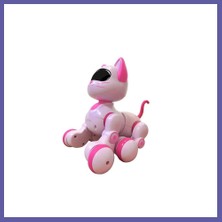 Nida Kedi 6602 Kumandalı Robot Kedi Nıda