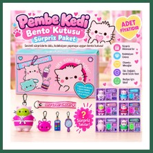 Vintessy Vıntessy Pembe Kedi Bento Kutusu Sürpriz Paket (Adet Fiyatıdır) BZS01