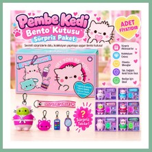 Bşk Virgo Pembe Kedi Bento Kutusu Sürpriz Paket (Adet Fiyatıdır) BSK2026