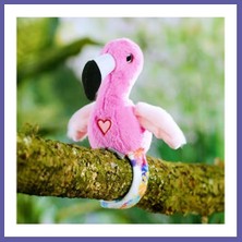 Nida Konuşan ve Taklit Eden Flamingo Nıda