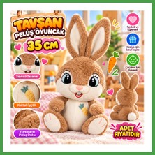 Soi Home 10012 Tavşan Peluş 35CM Oyuncak Peluş Soı
