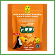 Bezos Organik Glutensiz Vegan Mangolu Mini Küpler 30 gr Mgc