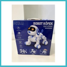 Defne Store 6601 Uzk Kumandalı Dans Edebilen Robot Köpek Dfnbez