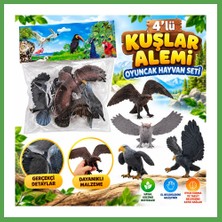 Bezos DMN058-4 4lü Kuşlar Alemi Oyuncak Hayvan Seti Mgc