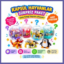 Nida 5244 Kapsül Hayvanlar Sürpriz Paket 24D (Adet Fiyatıdır) Nıda