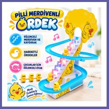 Nida 668-10 Pilli Merdivenli Ördek -Psf Nıda