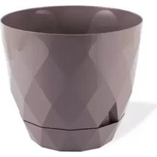 Royaleks Group 2 No Yakamoz Saksı 1 Adet ROYALEKS-KRS-452
