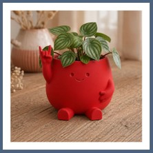 Bezos 3D Baskı Smiley Face Planter - Gülümseyen Karakterli Saksı-Kırmızı BZS10