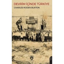 TeknoKapsül Devrim Içinde Türkiye