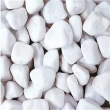Tr Beyaz Dolomit Taş 5 kg 2-4 cm Dere Çakıl Taşı Bahçe Süs Taşı Saksı Teraryum Taşı Akva