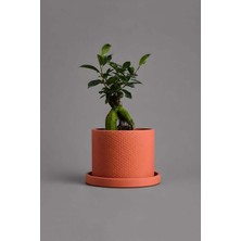 Gy Atelier Dekoratif Beton Saksı V-123-TURUNCU Turuncu