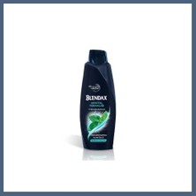 Bezos Erkek Mentol Şampuan 500ML 1 Adet BZS10