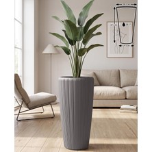Odea Lupus Saksı (Kahve, 28 Lt.)