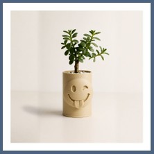 Bezos 3D Baskı Emoji Planter - Göz Kırpan Yüzlü Sukulent Saksısı-Bej BZS10