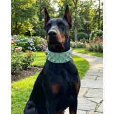 Kozaklı Hakiki Deri Çivili Dikenli Köpek Koruma Tasması