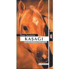 Fantastik Store Kaşağı