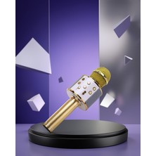 Helinaria Kablosuz Karaoke Mikrofon USB ve Aux Girişli
