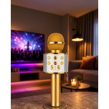 Helinaria Bluetooth Karaoke Mikrofon With USB ve Aux Girişli, Hafıza Kartı Destekli