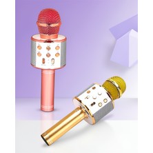 Helinaria Kablosuz Karaoke Mikrofon USB ve Aux Girişli Yüksek Ses Kalitesi