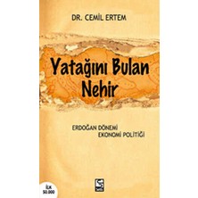TeknoKapsül Yatağını Bulan Nehir