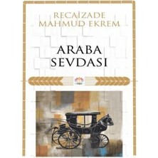 TeknoKapsül Araba Sevdası