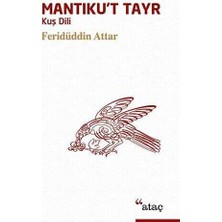 TeknoKapsül Mantıku’t Tayr