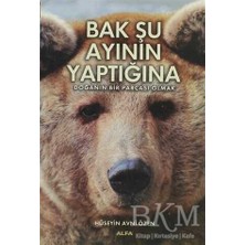 TeknoKapsül Bak Şu Ayının Yaptığına