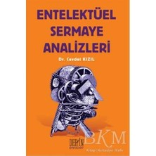 TeknoKapsül Entelektüel Sermaye Analizleri