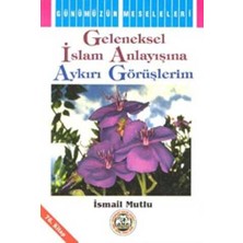 TeknoKapsül Geleneksel Islam Anlayışına Aykırı Görüşlerim