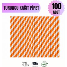Van Vleck 100 Adet Renkli Pipet – Içecek, Soğuk Kahve, Meyve Suyu ve Parti Pipeti