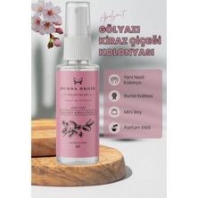 Str Store Bursa Şehir Kolonyaları Gölyazı Kiraz Çiçeği Kolonyası, 45 ml