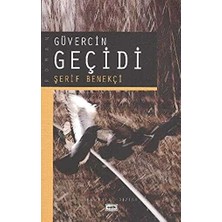 TeknoKapsül Güvercin Geçidi