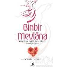 TeknoKapsül Binbir Mevlana