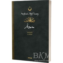 TeknoKapsül Asım - Safahat 6. Kitap