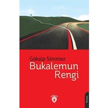 TeknoKapsül Bukalemun Rengi