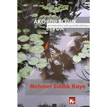 TeknoKapsül Akordu Bozuk Sevda