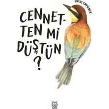 TeknoKapsül Cennetten Mi Düştün?