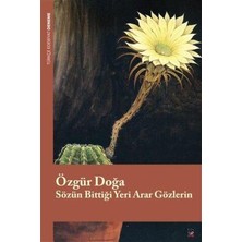 TeknoKapsül Sözün Bittiği Yeri Arar Gözlerin
