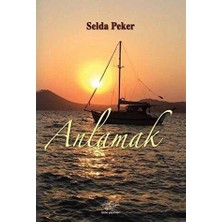 TeknoKapsül Anlamak