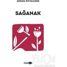 TeknoKapsül Sağanak