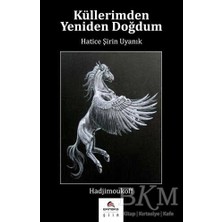TeknoKapsül Küllerimden Yeniden Doğdum