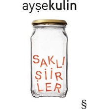 TeknoKapsül Saklı Şiirler