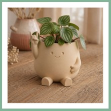 Bşk Virgo 3D Baskı Smiley Face Planter - Gülümseyen Karakterli Saksı-Bej BSK2026