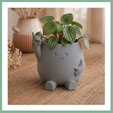 Bşk Virgo 3D Baskı Smiley Face Planter - Gülümseyen Karakterli Saksı-Gri BSK2026
