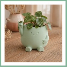 Bşk Virgo 3D Baskı Smiley Face Planter - Gülümseyen Karakterli Saksı-Mint BSK2026