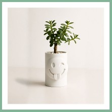 Bşk Virgo 3D Baskı Emoji Planter - Göz Kırpan Yüzlü Sukulent Saksısı-Beyaz BSK2026