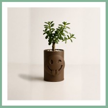 Bşk Virgo 3D Baskı Emoji Planter - Göz Kırpan Yüzlü Sukulent Saksısı-Kahverengi BSK2026