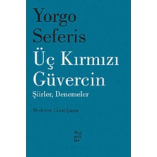 TeknoKapsül Üç Kırmızı Güvercin
