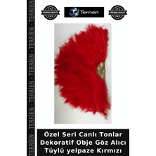 Terrien Özel Seri Canlı Tonlar Dekoratif Obje Göz Alıcı Tüylü Yelpaze Kırmızı