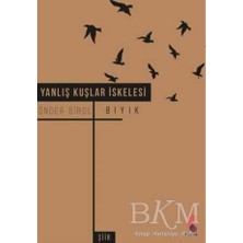 TeknoKapsül Yanlış Kuşlar Iskelesi